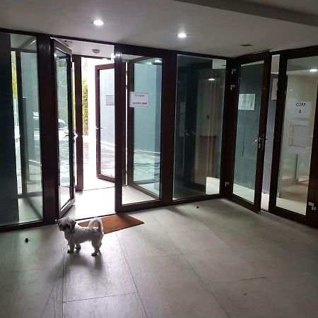 Apartment Poiana Braşov Dış mekan fotoğraf