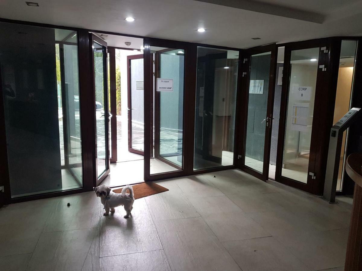 Apartment Poiana Braşov Dış mekan fotoğraf